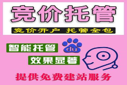 百度竞价广告投放策略：案例分析及优化建议